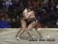Takanofuji's 3 Fighting Style