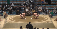 Fujimoto's Fighting Style