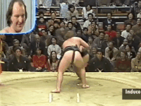 Kototenzan's Fighting Style