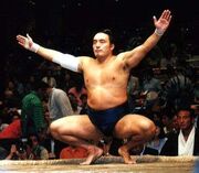 Terao2001