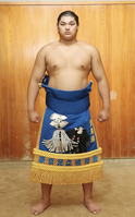 Yonezawaryu during his time in Maezumo (c. 2024)