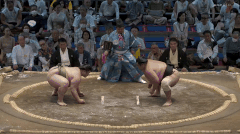 Daiamami's Fighting Style 2