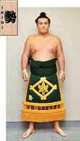 Ikioi Shota - 2012 (Retrieved from the JSA)