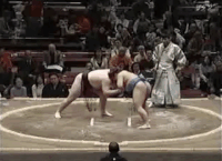 Oga's Fighting Style