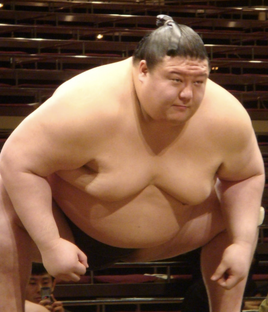 Masuhikari-main