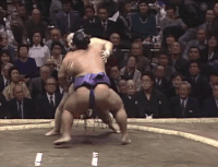 Ryogoku's Fighting Style2