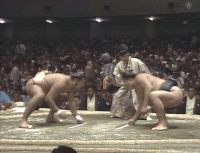 Daitetsu's Fighting Style 3
