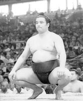 Kakureizan in his first juryo tournament (c. 1981)