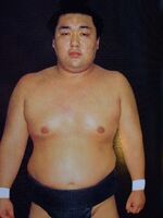 Hidenohana in Makushita prior to his Juryo promotion (c. 1988)