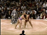 Ishinriki's Fighting Style