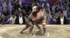 Wakanoshima's Fighting Style