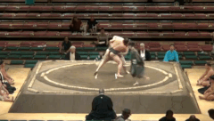 Akinomine's Fighting Style
