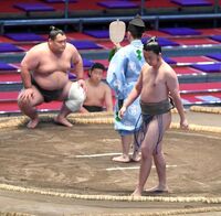 Shonanzakura loses his final match to Mifuneyama (c. 2021)