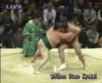 Towanoyama's Fighting Style