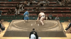 Wakatakamoto's Fighting Style