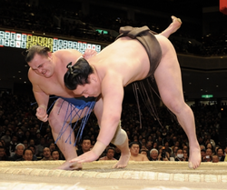 Into the World of Sumo - Baruto Kaito aka Kaido Höövelson - Eesti Elu