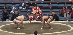 Ikazuchido's Fighting Style