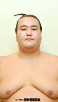Kotomisen Koki - 2013 (Retrieved from the Nihon Sumo Kyokai)