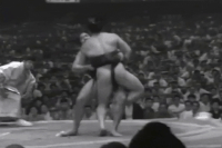 Wakanami's Fighting Style