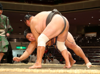Hanakaze throws and defeats Wakamatsunaga (c. 2018)