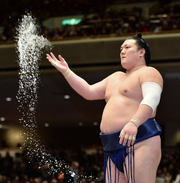 Ikioi2016