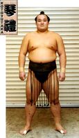 Kotoyutaka Naoki - 2009 (Retrieved from the JSA)