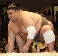 Masutsuyoshi after falling down to the unsalaried ranks (c. 2009)