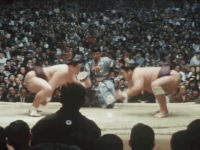 Sadanoumi Fighting Style3