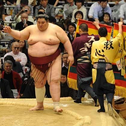 Sumo Wrestling, Yamamotoyama Ryūta a.k.a. Yama. He is the h…