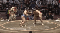 Tobizaru's Fighting Style