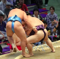 Akiseyama pushes out Kotonowaka (c. 2019)