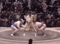Hakurozan's Fighting Style