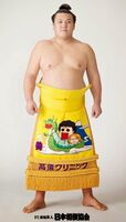 Ikioi Shota - 2014 (Retrieved from the JSA)