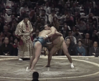 Masuiyama's Fighting Style