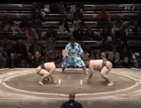 Wakakeisho's Fighting Style