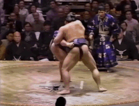 Tomonohana's Fighting Style