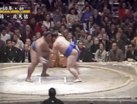 Hokutenyu's Fighting Style