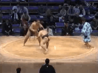 Matsumidori's Fighting Style