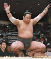 Midorifuji during his time in the unsalaried ranks (c. 2020)