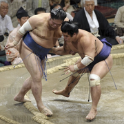 MyogiryuTochinonada2011