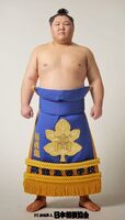 Tochihiryu Yukiya - 2013 (Retrieved from the JSA)