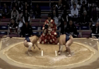Chiyohakuho's Fighting Style