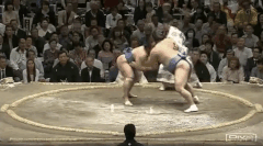 Homasho Fighting Style