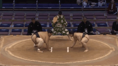 Inabamaru's Fighting Style