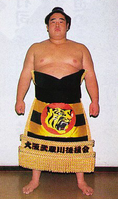Mutetsuyama with his Hanshin Tigers kesho-mawashi