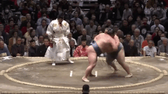 Tokushoryu's Fighting Style