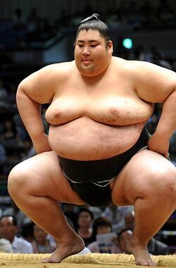 Sumo Wrestling, Yamamotoyama Ryūta a.k.a. Yama. He is the h…