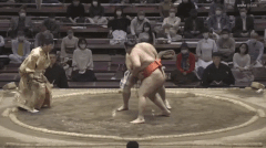 Jokoryu's Fighting Style 2