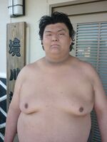 Sakaefuji joins Sakaigawa stable (c. 2011)