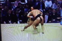Kakureizan wins the jonidan yusho in a playoff (c. 1987)